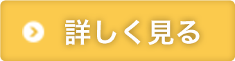 詳しく見る