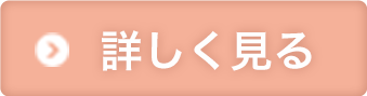 詳しく見る